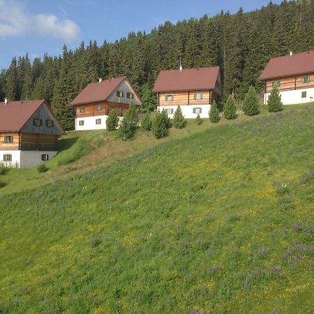 Moselebaueralm Villa Klippitztorl Eksteriør billede