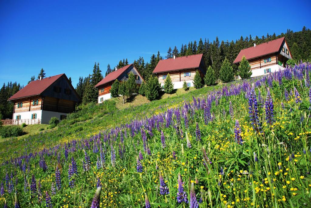 Moselebaueralm Villa Klippitztorl Værelse billede