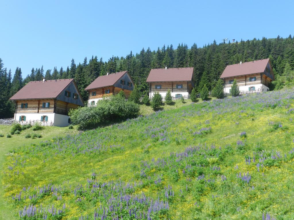 Moselebaueralm Villa Klippitztorl Værelse billede