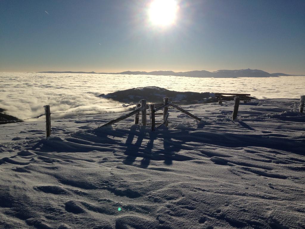 Moselebaueralm Villa Klippitztorl Værelse billede