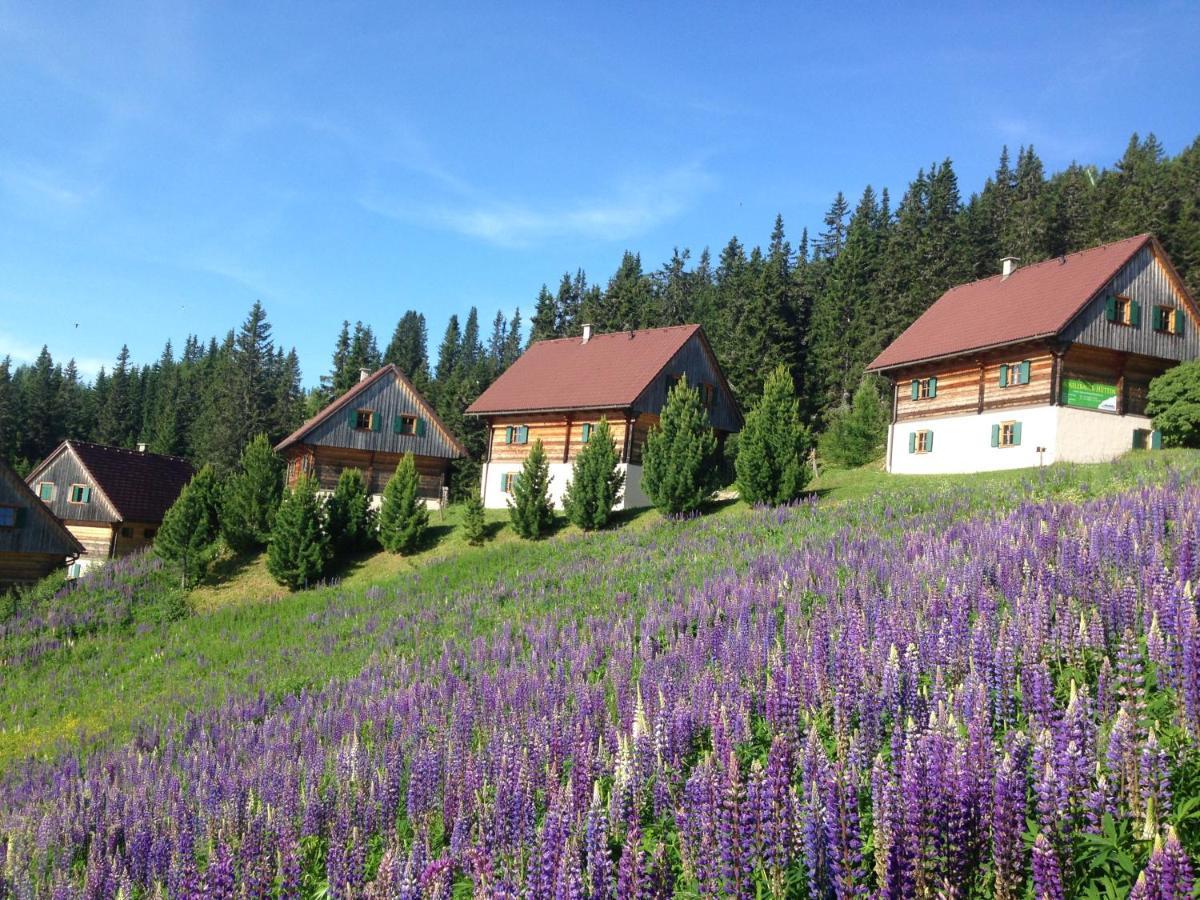 Moselebaueralm Villa Klippitztorl Eksteriør billede